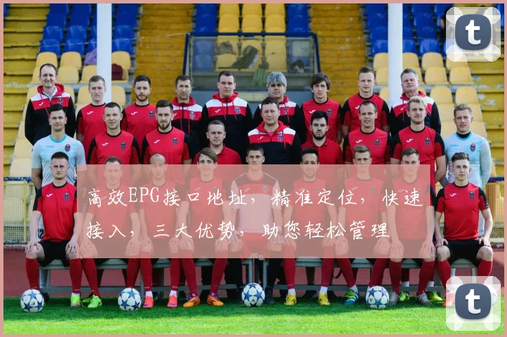 高效EPG接口地址，精准定位，快速接入，三大优势，助您轻松管理