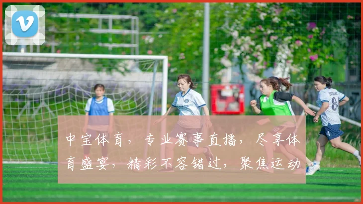 中宝体育，专业赛事直播，尽享体育盛宴，精彩不容错过，聚焦运动激情，尽在中宝