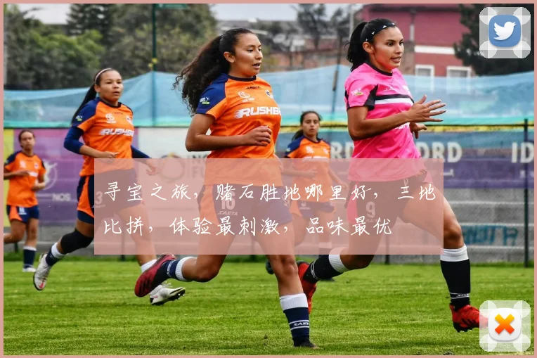 寻宝之旅，赌石胜地哪里好，三地比拼，体验最刺激，品味最优