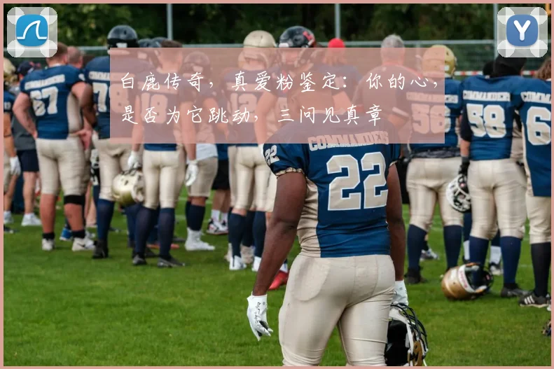 白鹿传奇，真爱粉鉴定：你的心，是否为它跳动，三问见真章