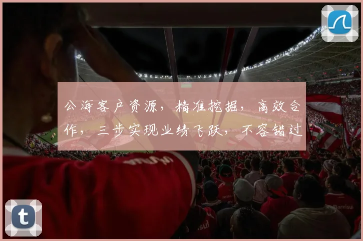 公海客户资源，精准挖掘，高效合作，三步实现业绩飞跃，不容错过